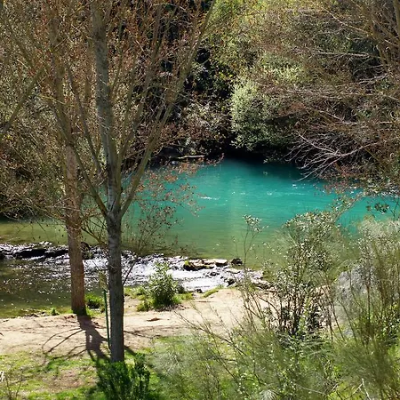 Cipreses * Benaoján