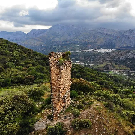 Cipreses Benaoján